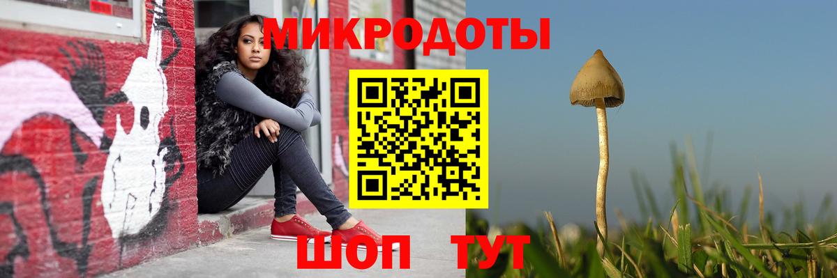 Алейск  Галлюциногенные грибы мухоморы  Вход с VPN 