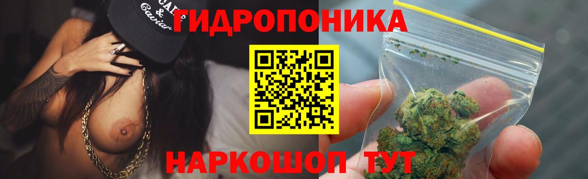 Алейск  Марихуана тримм  Вход с VPN  Марихуана конопля  Бошки Шишки тримм  Марихуана White Widow 